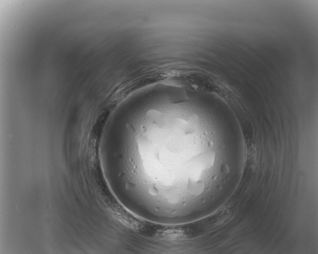 X0000080130554200612151741