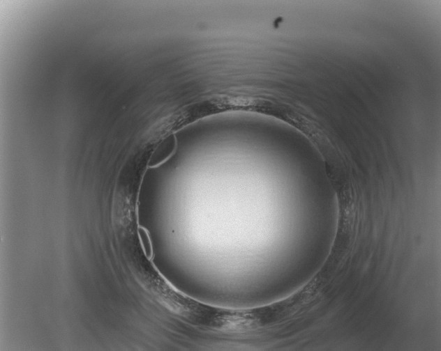 X0000080130555200612151741