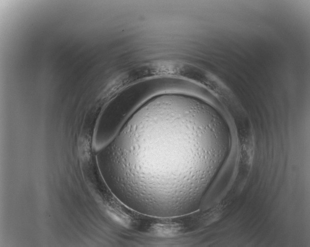 X0000080130556200612151741