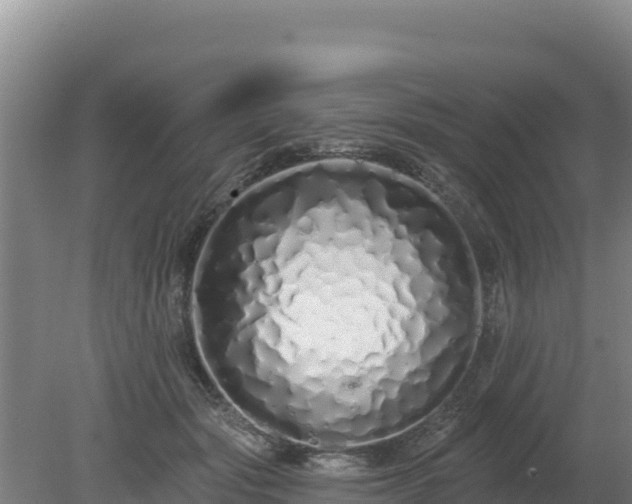 X0000080130557200612151741