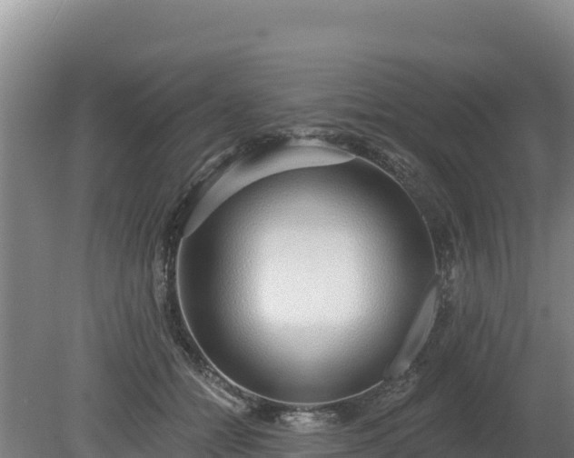 X0000080130558200612151741