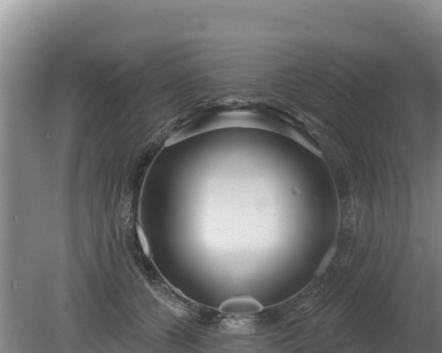 X0000080130560200612151741