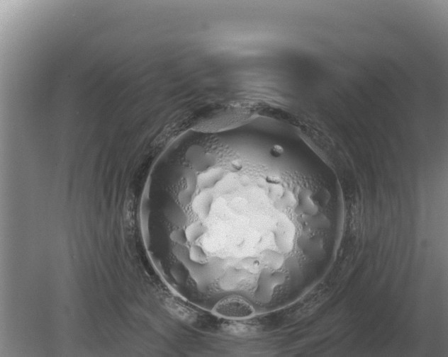 X0000080130561200612151741