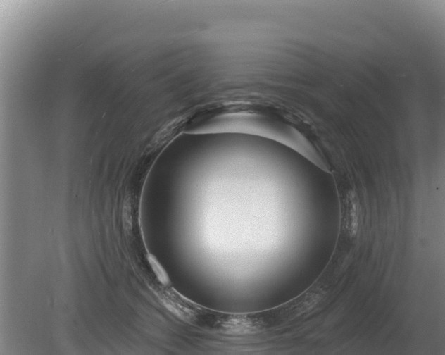 X0000080130562200612151741