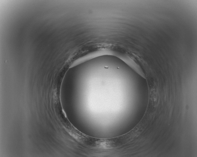 X0000080130564200612151741