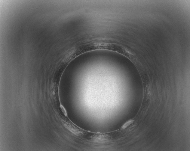 X0000080130567200612151741