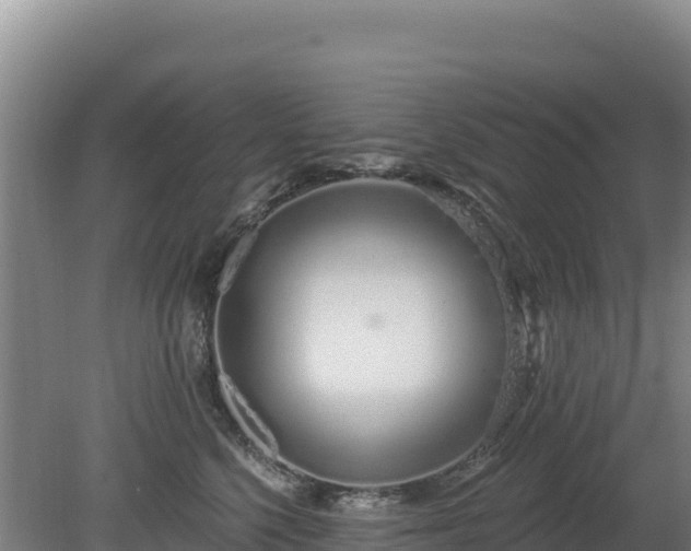 X0000080130568200612151741