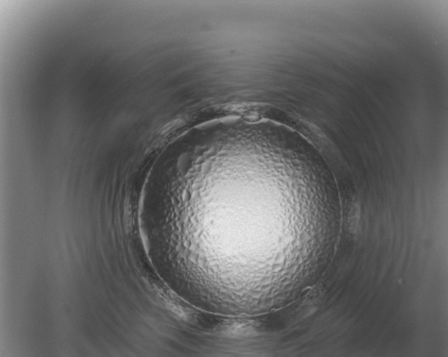 X0000080130569200612151741