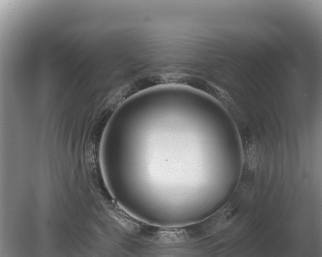 X0000080130571200612151741