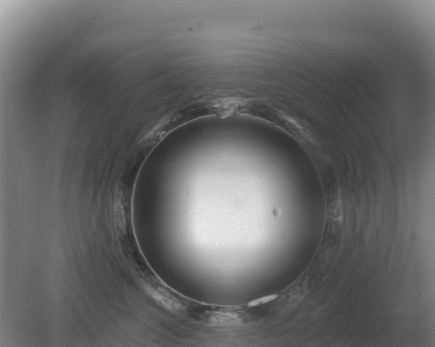 X0000080130572200612151741