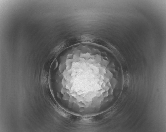 X0000080130573200612151741