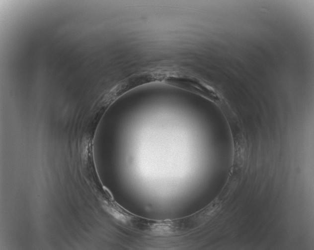 X0000080130574200612151741