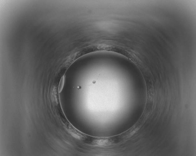 X0000080130575200612151741