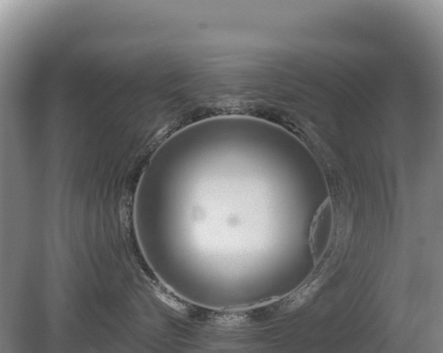 X0000080130576200612151741