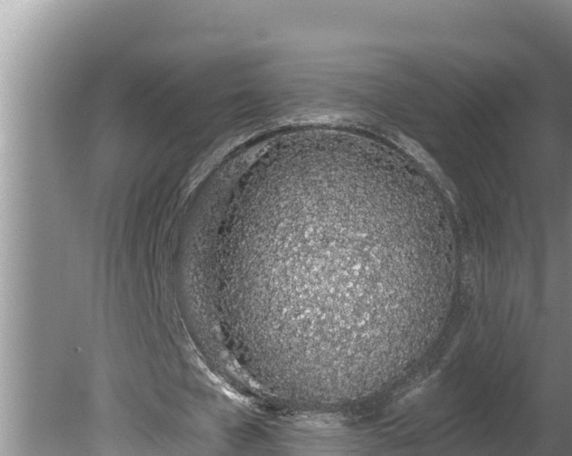 X0000080130577200612151741