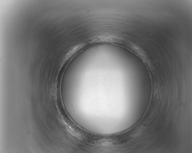 X0000080130578200612151741