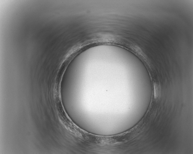 X0000080130579200612151741