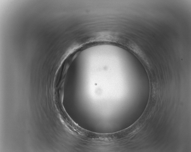 X0000080130580200612151741