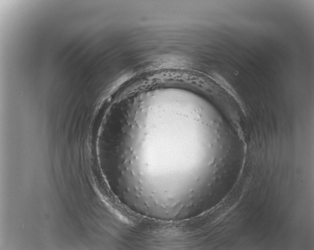 X0000080130581200612151741