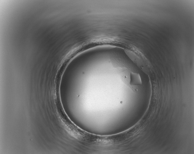 X0000080130582200612151741