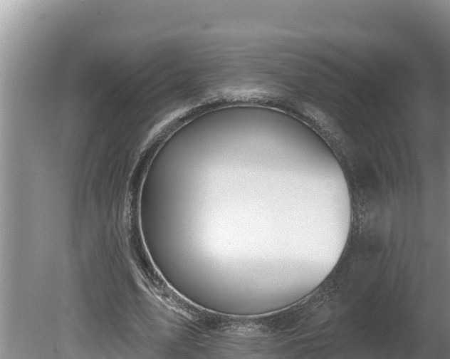 X0000080130583200612151741