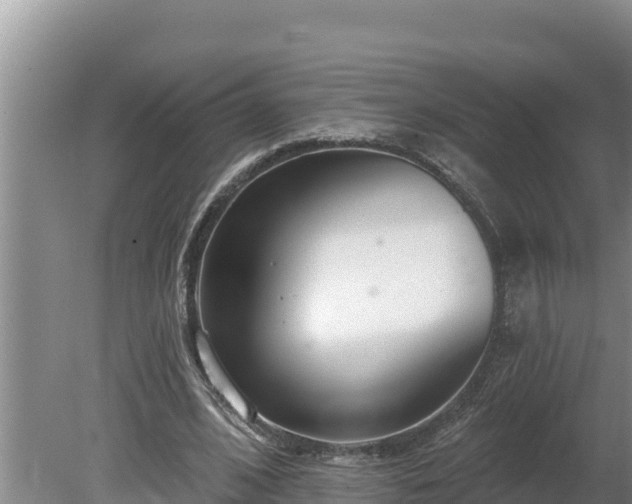 X0000080130584200612151741