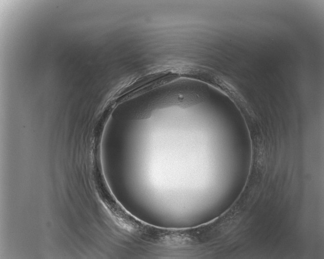 X0000080130586200612151741