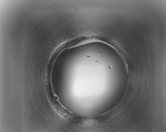 X0000080130587200612151741