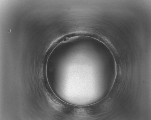 X0000080130588200612151740