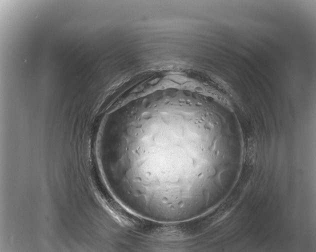 X0000080130589200612151740