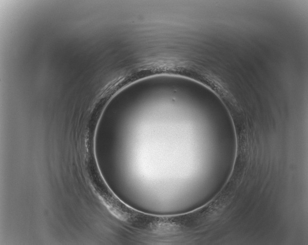 X0000080130590200612151740