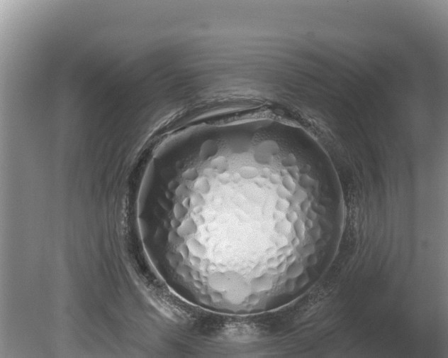 X0000080130591200612151740