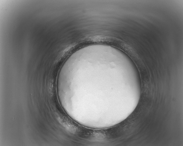 X0000080130592200612151740