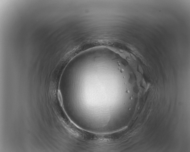 X0000080130593200612151740