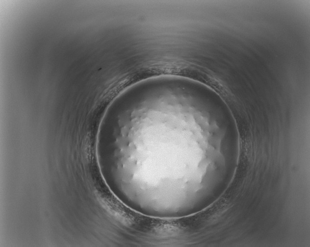 X0000080130594200612151740