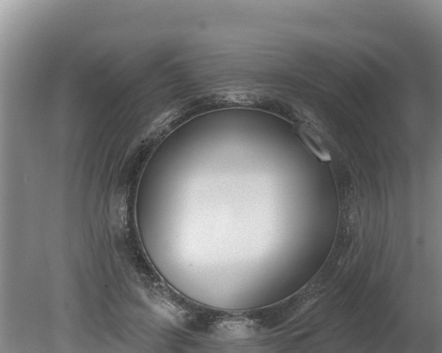 X0000080130595200612151740