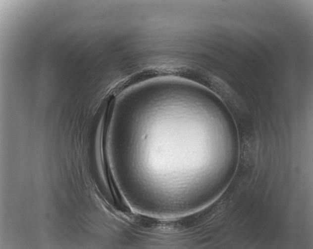 X0000080130596200612151740