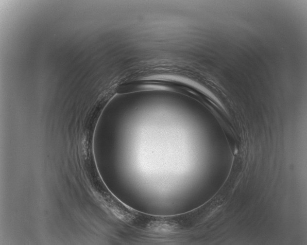 X0000080130597200612151740