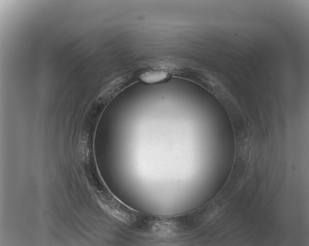 X0000080130599200612151740