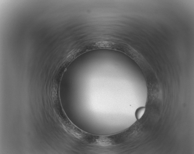 X0000080130603200612151740