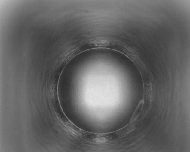 X0000080130604200612151740