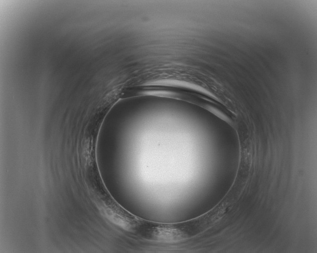 X0000080130605200612151740