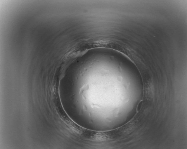 X0000080130608200612151740