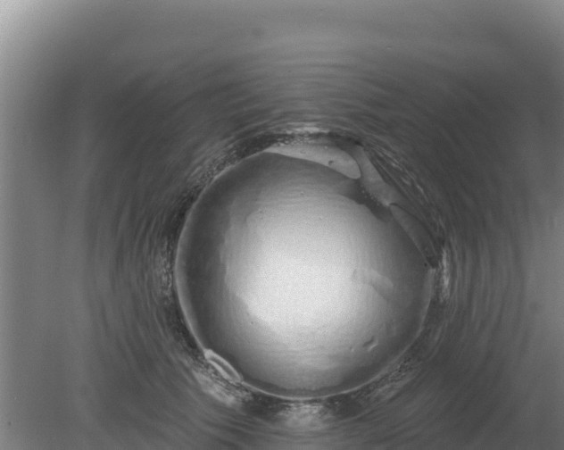 X0000080130609200612151740