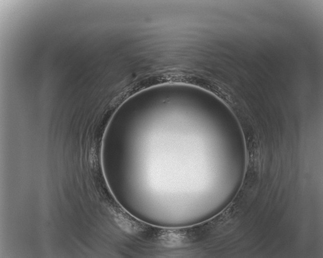 X0000080130610200612151740