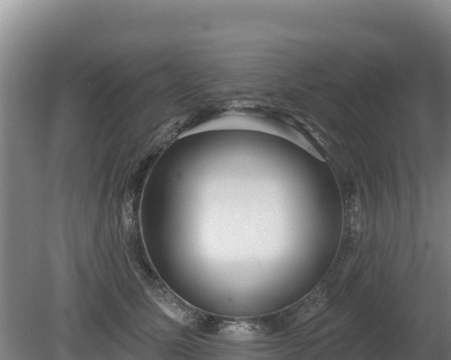 X0000080130611200612151740