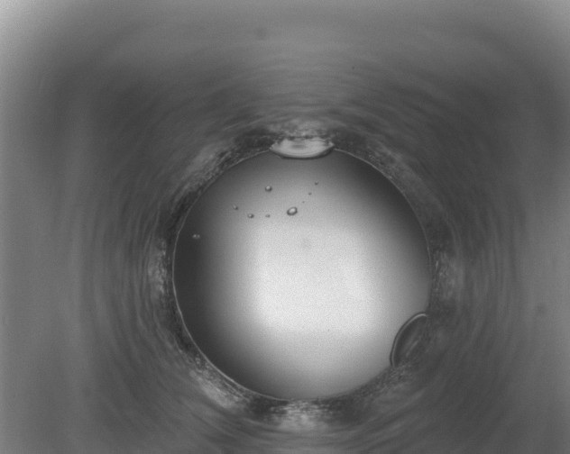 X0000080130612200612151740