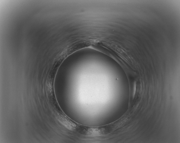 X0000080130613200612151740