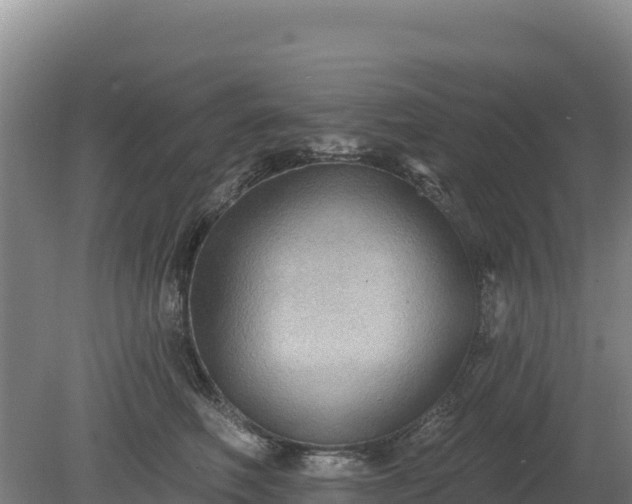 X0000080130614200612151740