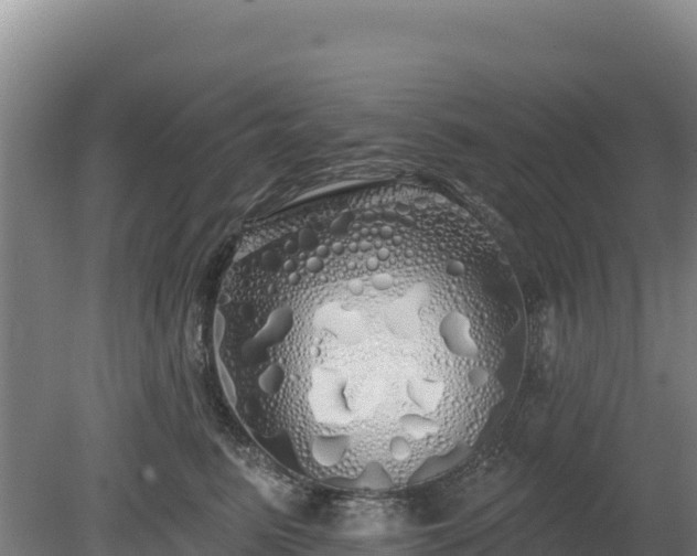 X0000080130615200612151740